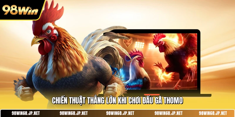 Chiến thuật thắng lớn khi chơi đấu gà Thomo 