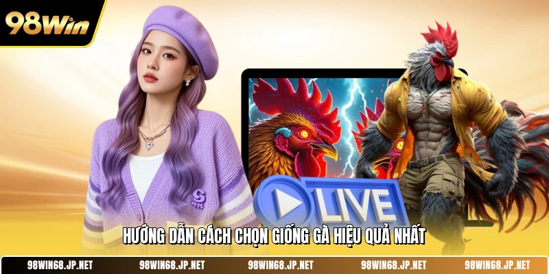 Hướng dẫn cách chọn giống gà hiệu quả nhất 