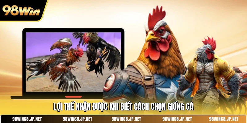 Lợi thế nhận được khi biết cách chọn giống gà 