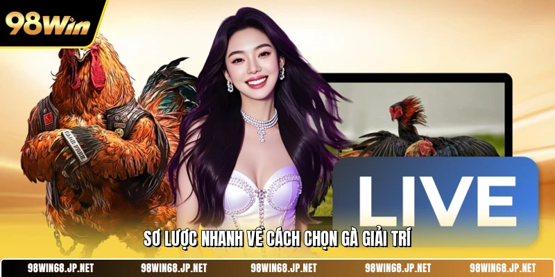 Sơ lược nhanh về cách chọn gà giải trí 