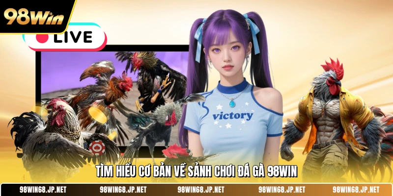 Tìm hiểu cơ bản về sảnh chơi đá gà 98WIN